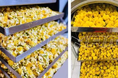 Công nghệ sấy khô trà hoa vàng Công nghệ sấy khô trà hoa vàng