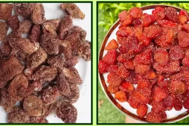 Cách làm dâu tây sấy dẻo Cách làm dâu tây sấy dẻo