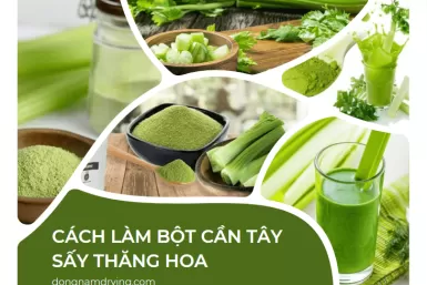Cách làm bột cần tây sấy thăng hoa