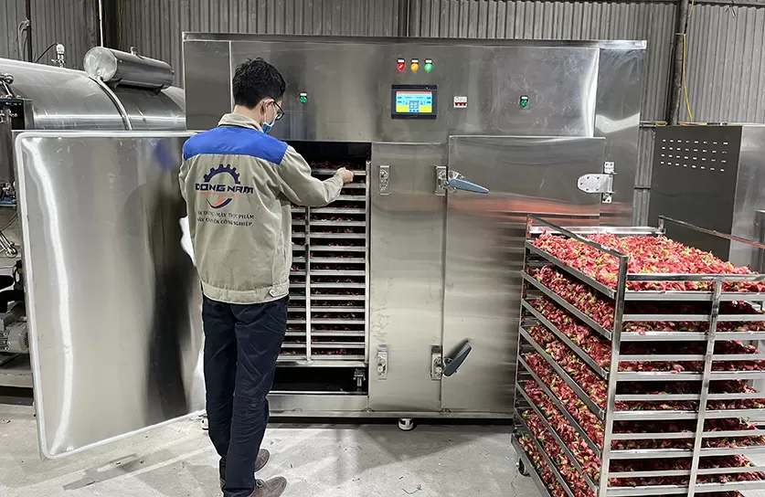 Máy sấy thực phẩm