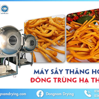 Máy sấy thăng hoa đông trùng hạ thảo - Bảo quản đông trùng hạ thảo chất lượng cao Máy sấy thăng hoa đông trùng hạ thảo - Bảo quản đông trùng hạ thảo chất lượng cao